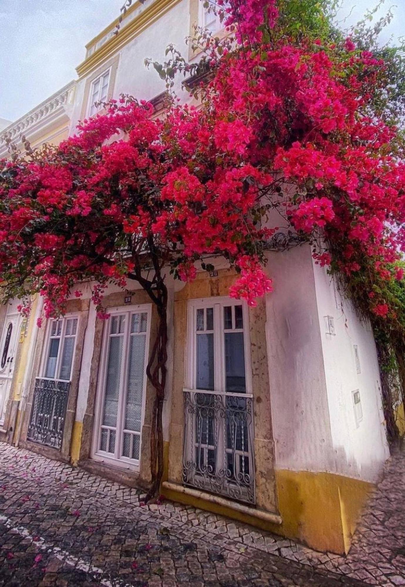 Stylish Studio Gilao In Taviras Historical Centre Bagian luar foto